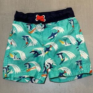 Toddler Swim Trunks 2T Cat & Jack